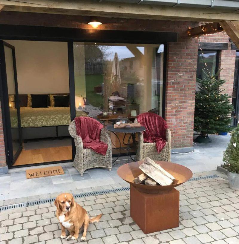B&B Den Biesthoek Grimbergen Exterior foto